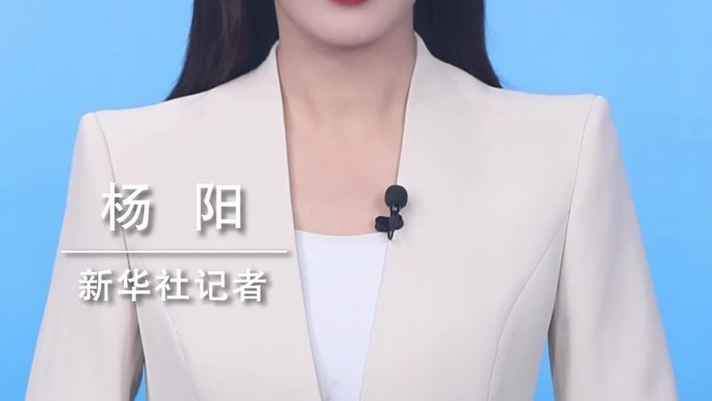 信息化建设项目全流程管理的五大关键步骤**